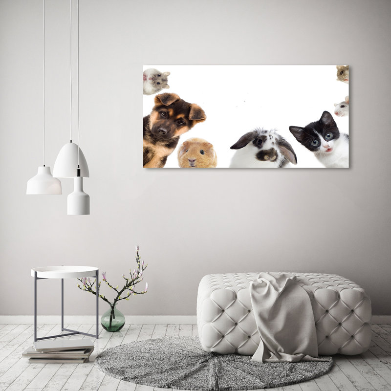 Pets - Wrapped Canvas Print