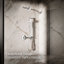 Douche à main à fonction unique déclaration Ves 1,5 gallons par minute-69931037