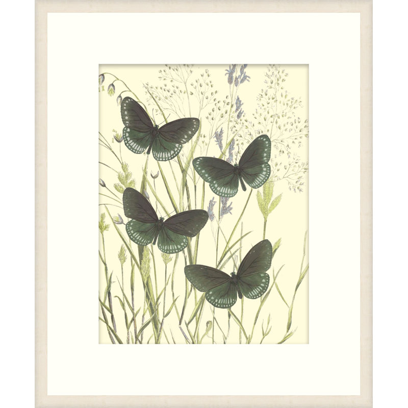 Mariposas 4 Print, 22" H x 20" W