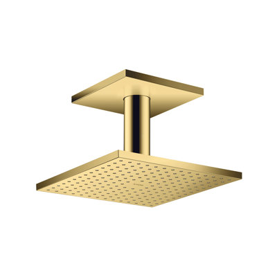 ShowerSolutions Square Showerhead 250 2-Jet Ceiling Connection