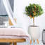 Concrete Effect Planter on Hardwood Legs, Round Indoor Plant Pot Stand for Indoor Plants, Indoor Flower Pot with Plaited Pattern-753632941-753632943