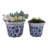 Stoneware Ceramic Planters with Scalloped Edge and Floral Relief Detail, Decorative Handcrafted Garden Accent Containers for Indoor or Outdoor Display, Set of 2