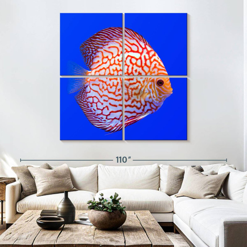 Brampt Exotic Discus Fish, 74" H x 74" W