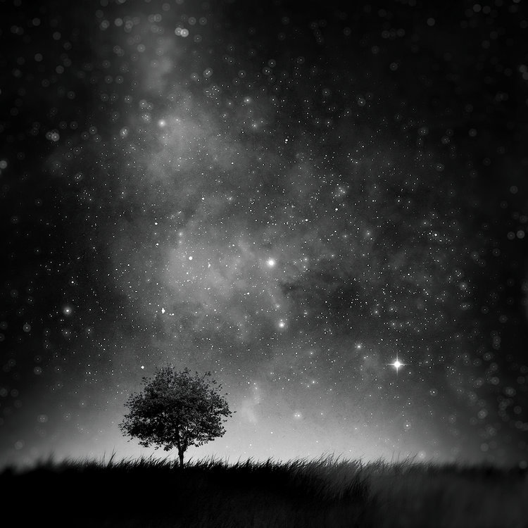 « not so seulement », reproduction de photo sur toile, Papier d'art encadré noir, Blanc, H 16 po x l 16 po x P 1 po