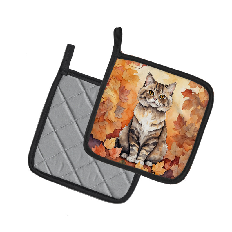 Paire de poignées pour chat Selkirk Rex