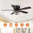 Capitol 48'' Ceiling Fan with Light Kit-1342446029