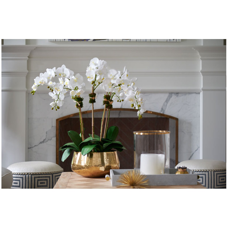 Phalaenopsis Orchids in Gold Metal Bowl