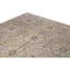 Wool Oriental Area Rug in Beige