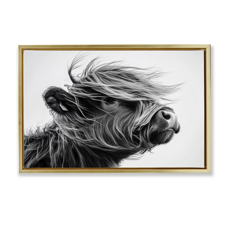 Cadre flottant Handsome Highland Portrait, design par Tina LeCour, H 21 po x l 31 po, Cadre flottant métallique doré