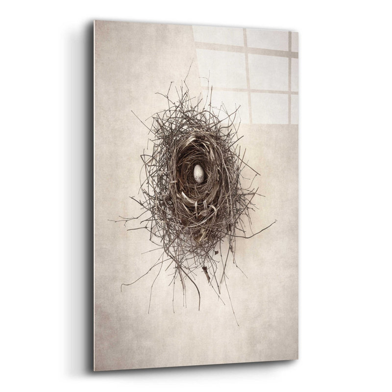 Latitude Run® 'Nest I' By Debra Van Swearingen, Acrylic Glass Wall Art, 16"X24", H 24 po x l 16 po x P 0,2 po