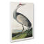 Hooping Crane by John Audubon - Wrapped Canvas Painting-55360393