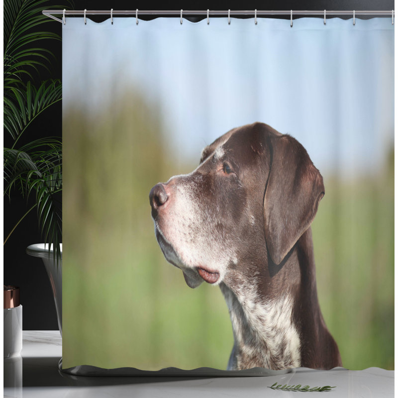 Ensemble de rideau de douche avec crochets de chasse, H 70 po x l 69 po