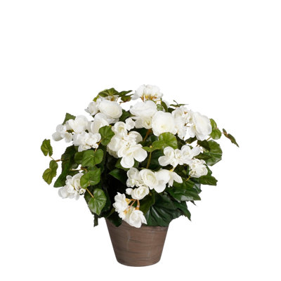 begonia 37 cm H Faux Plant