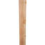 Attelle de genou traditionnelle-31230023-110091251
