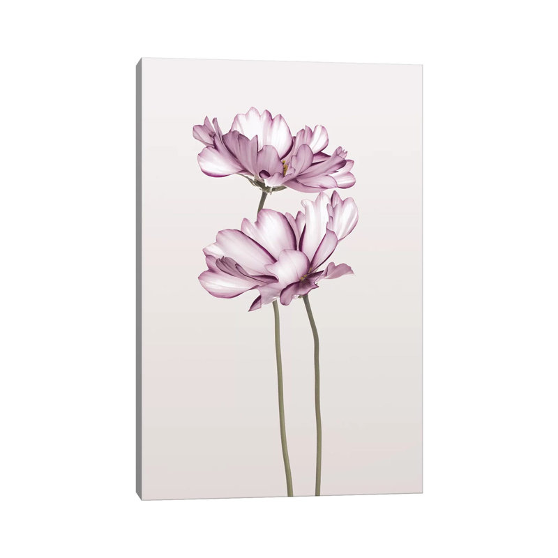 Cosmos II - Print on Canvas, 66.04cm H x 45.72cm W x 3.81cm D, Wrapped Canvas
