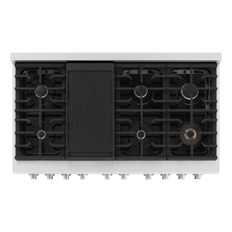 ZLINE 48" Paramount Double Oven Dual Fuel Stainless Steel Range w/ 8 Burner Gas Cooktop (SDR48), Stainless Steel