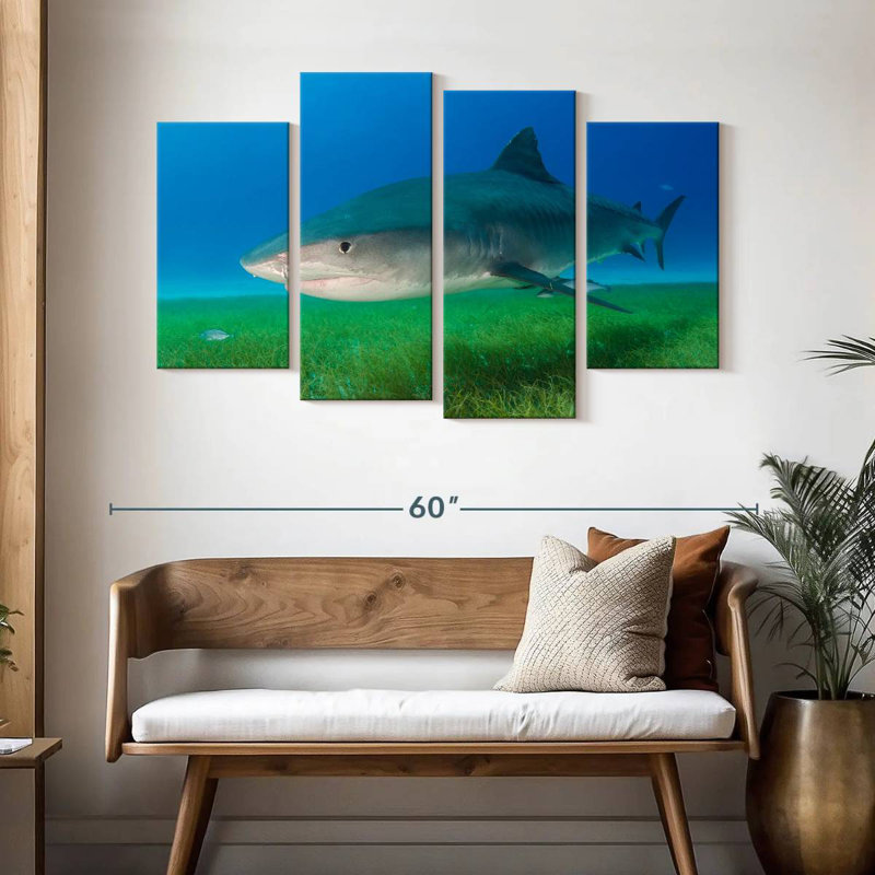 Brampt Tiger Shark On Sea Grass, 32"H x 52"W