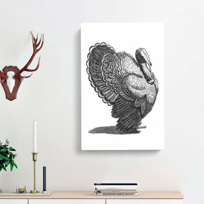 Turkey In Black & White by Johan Teyler - Wrapped Canvas