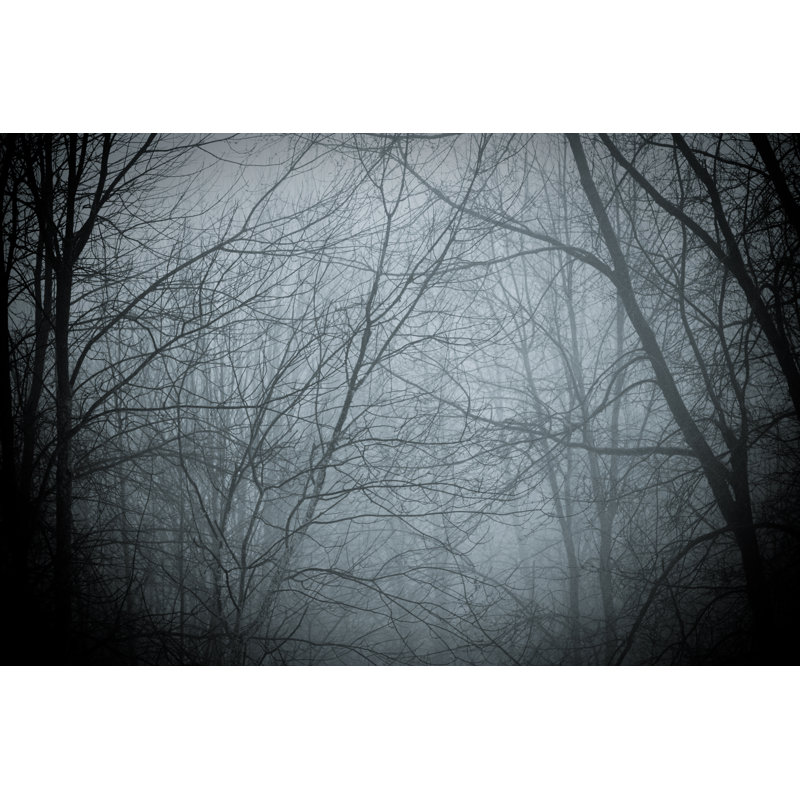 Forest In Fog by Pawel Gaul - Wrapped Canvas Print, 81cm H x 122cm W