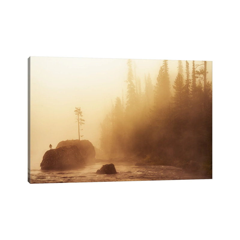 Rock Tee And Fog by Dennis Frates - No Frame Gallery-Wrapped Canvas Giclée on Canvas, 66.04 cm H x 45.72 cm W