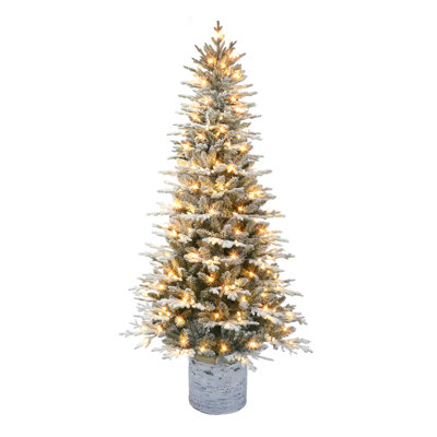 90' Lighted Pine Christmas Tree