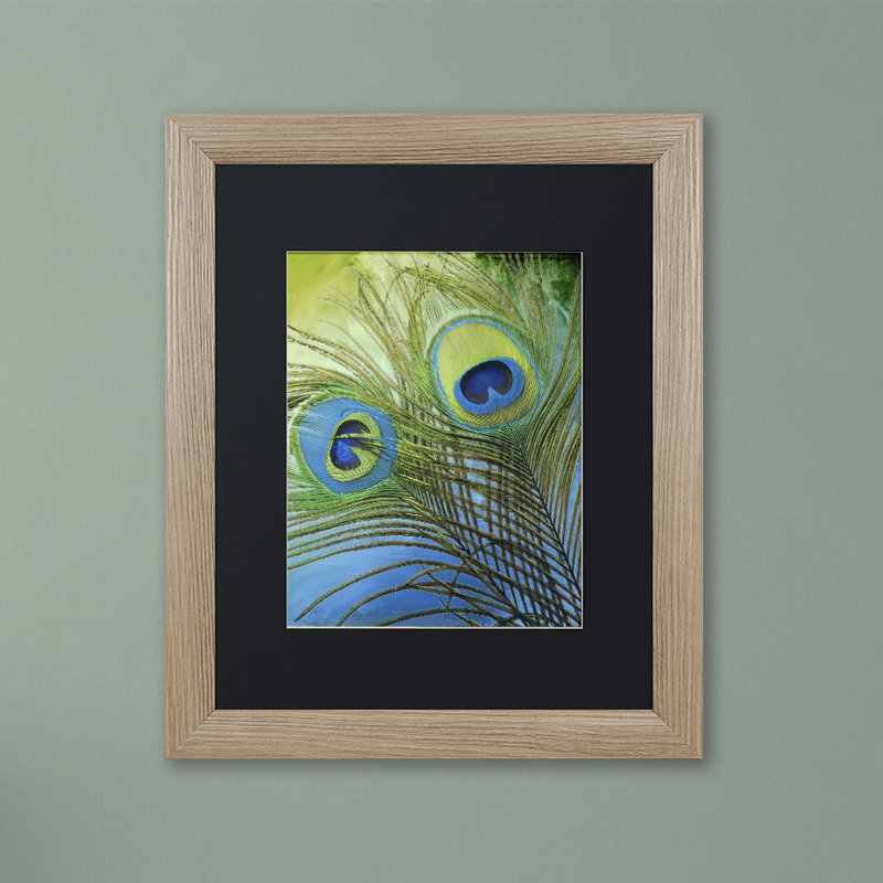 «Peacock Candy I» par Jadaya, impression encadrée, H 14 po x l 11 po x P 0,5 po, Noir, Toile avec cadre argenté