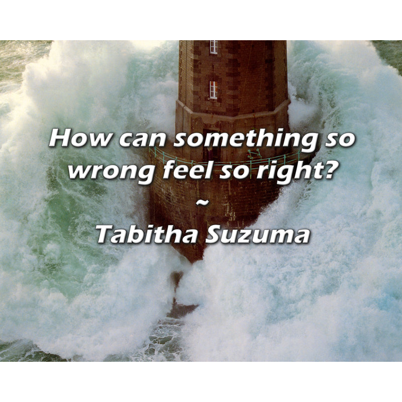 Artsy Quote "How can something so wrong feel so right?" By Tabitha Suzuma Gallery Wrapped Canvas, 28" H x 40" W