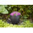 Round Egg Resin Planter-599421125-599421124