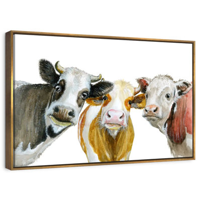 Cows