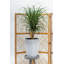 Pot de fleurs en céramique Noney Camy-73058162