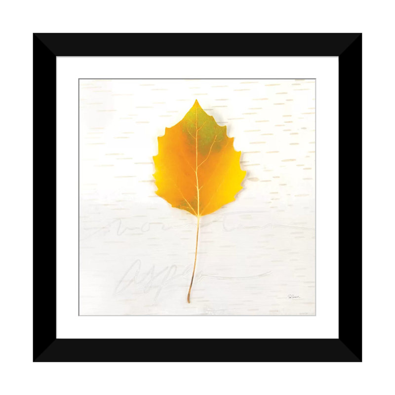 « automne colors iii », impression sur toile, H 16 po x l 16 po x P 1 po, Papier d'art encadré noir, Blanc