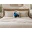 Coussin décoratif oiseau brodé