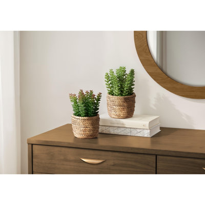 Artificial Succulent In Cement Pot