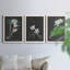 Orchidée sur ardoise I - ensemble de 3 peintures sur toile encadrées-246507834-246507833