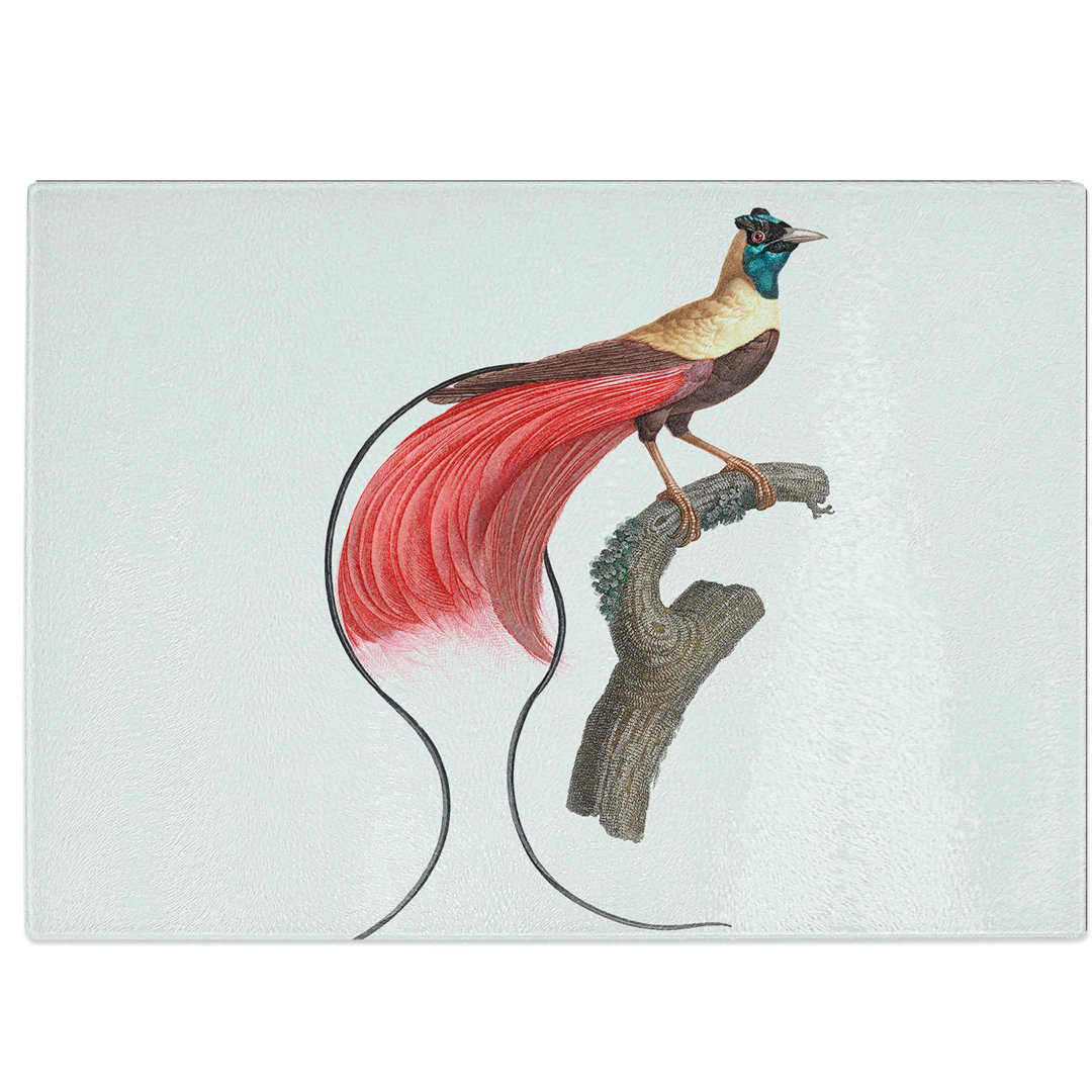 Tempered Glass Bird of Paradise by Jacques Barraband Chopping Board