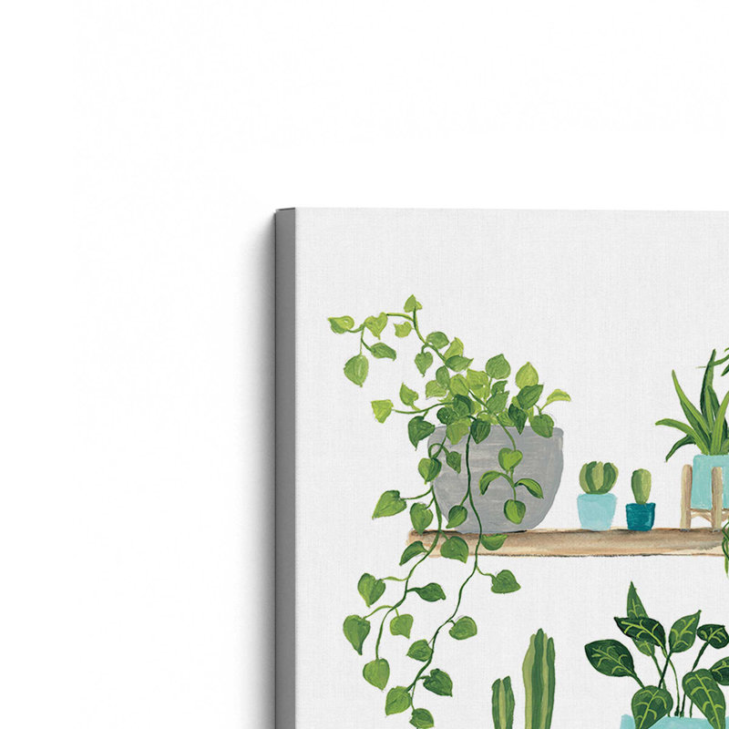 My Boho Plants I by Yvette St. Amant Canvas Art Print, 32" H x 24" W