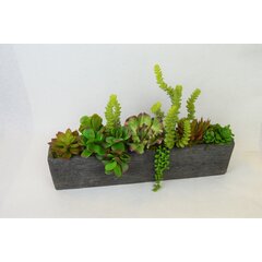 Moss Mound, Planter Rectangle ConcreteFaux Greenery, 6