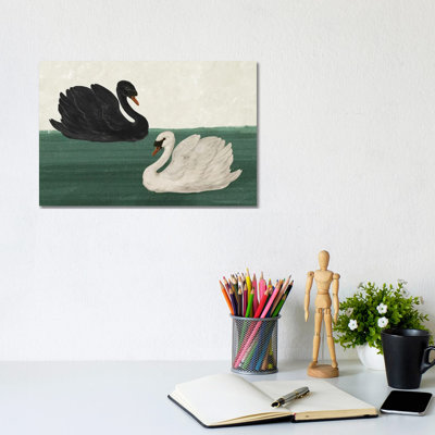 Cygne noir cygne blanc_1PC3