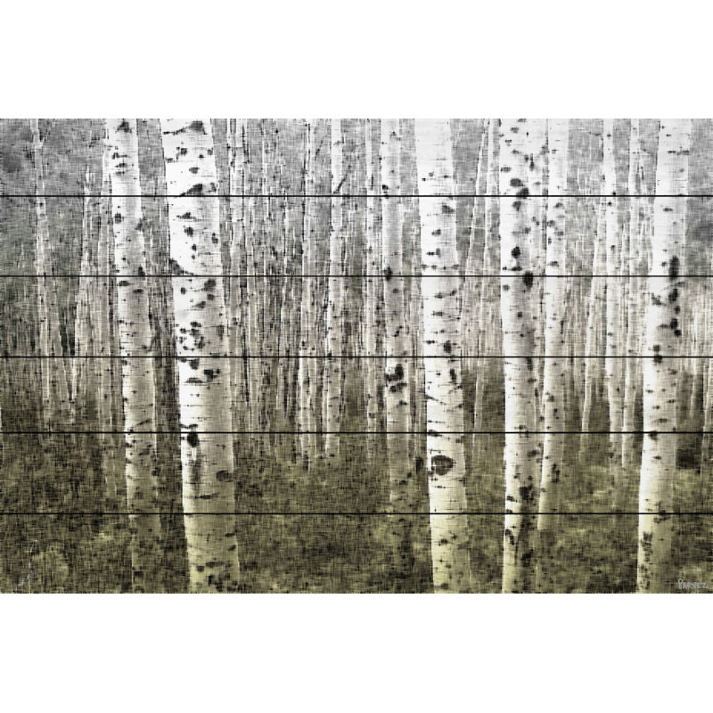 Aspen Highland par Parvez Taj - reproduction de photo sur bois, H 16 po x l 24 po x 1,5 po