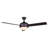 Kandi 48'' Ceiling Fan with Light Kit