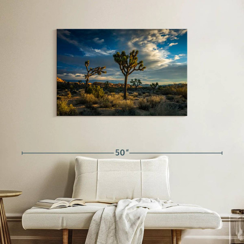 Paysage du parc national Ravi Joshua Tree, H 26 po x l 39 po
