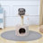 Nimitz 23.62'' H Cat Tree