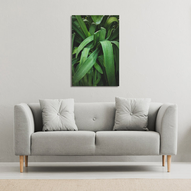 No Title by Andrew Lee - Wrapped Canvas Print