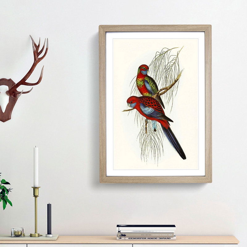Pennant's Parakeets by Elizabeth Gould - Picture Frame Painting Print, 65cm H x 48cm W x 2cm D, Oak Framed