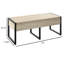 Banc de rangement à couvercle rabattable Caudillo-578605439