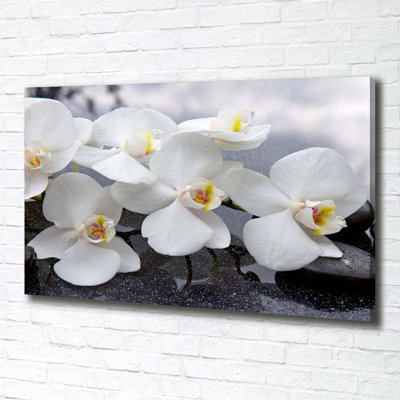 Orchid - Wrapped Canvas Print