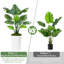 150cm Plant