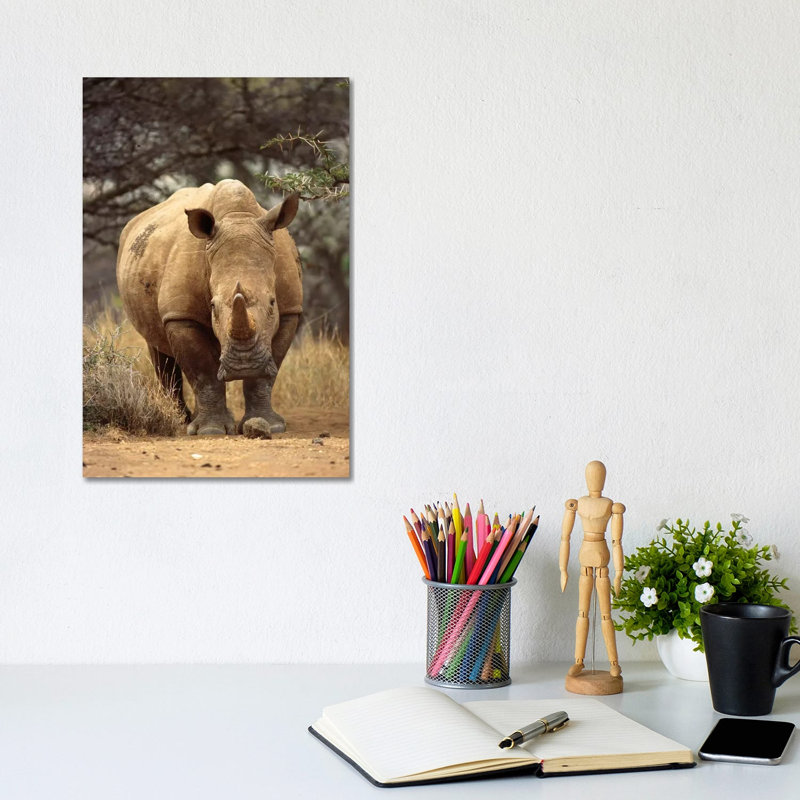 White Rhinoceros Female, Lewa Wildlife Conservancy, Kenya 1 Piece Wrapped Canvas Wall Art, 20.32 cm H x 30.48 cm W