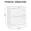White Filing Cabinet With 2 Locking Drawers - Metal, Keep Office Documents In , Enhance Efficiency Lock For Document Classification, Increase Productivity Build