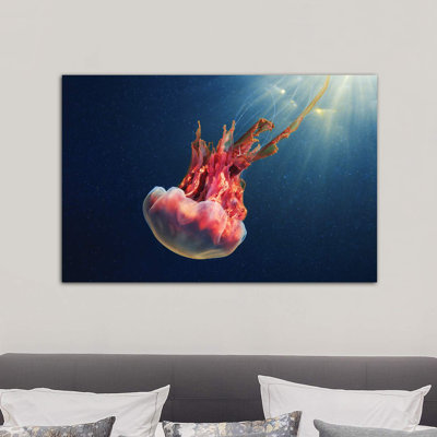 «Cyanea Capillata IX» par Anna Sweet - impression d'art graphique